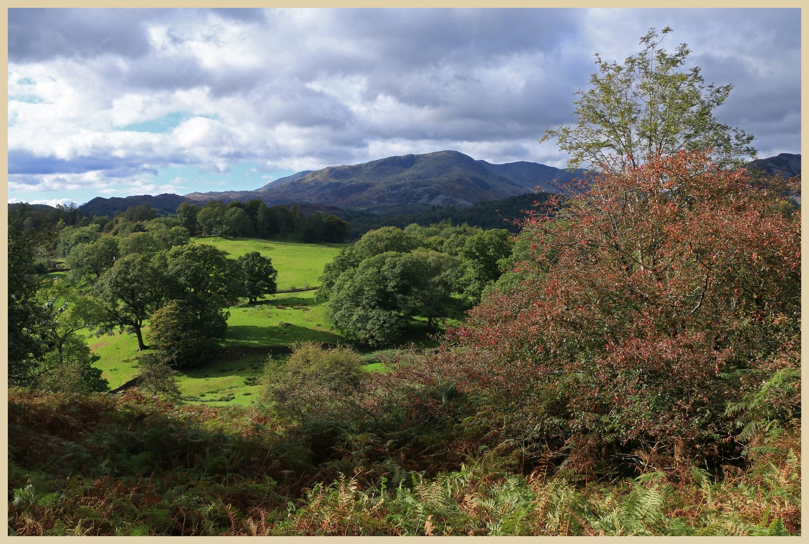 near elterwater