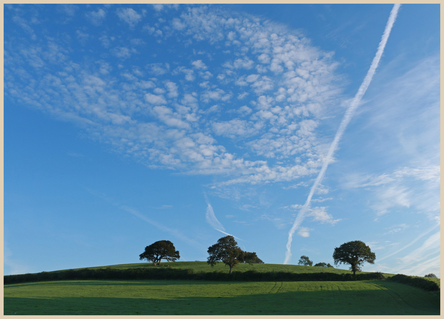 near farwood barton farm