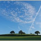 near farwood barton farm