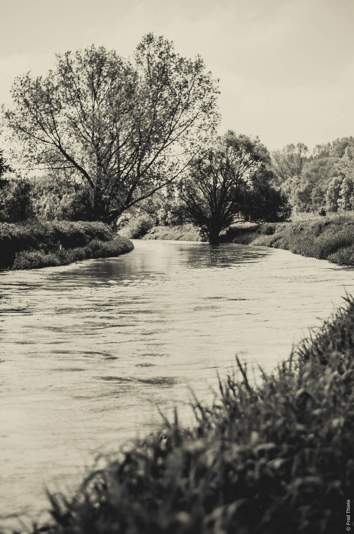 near Gatzen, Saxony