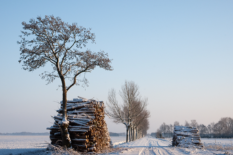 Near Gilze (The Netherlands)