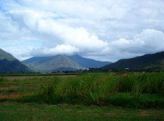 Near Gordonvale I