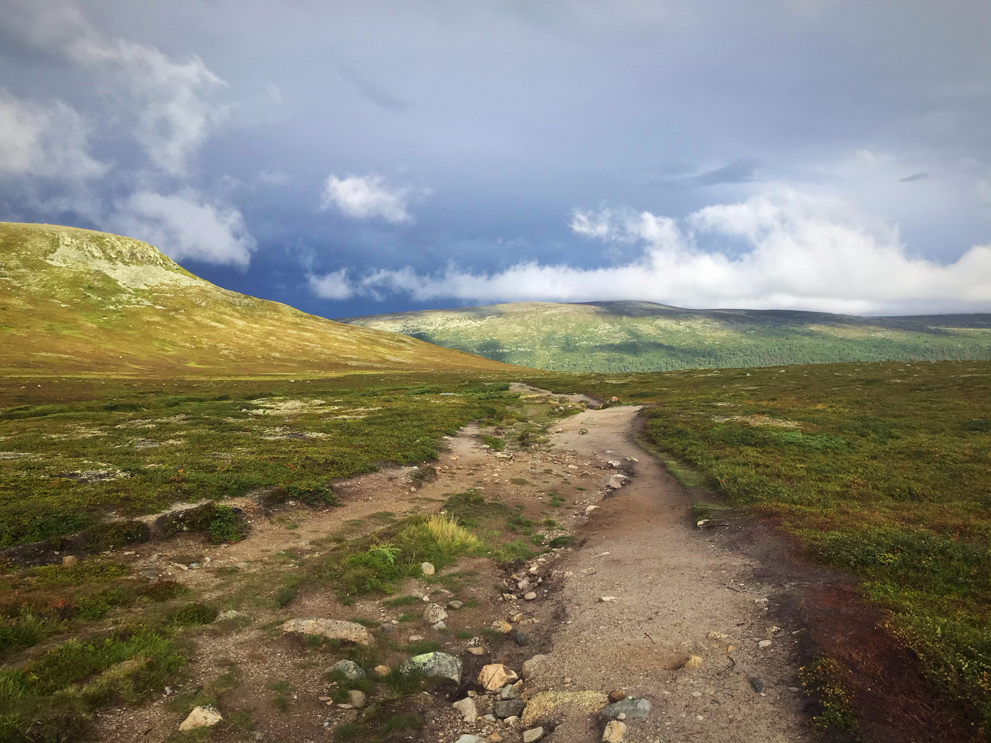 near Grøvelsjøen