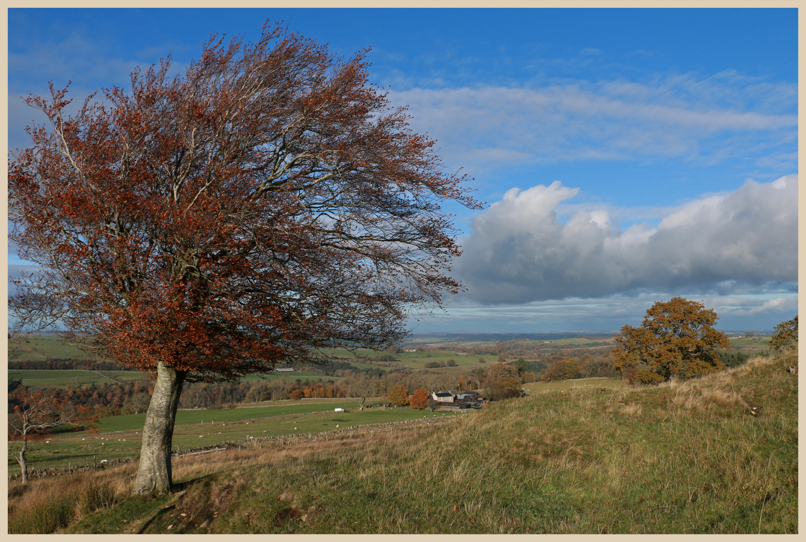 near Keenley Fell