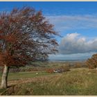 near Keenley Fell