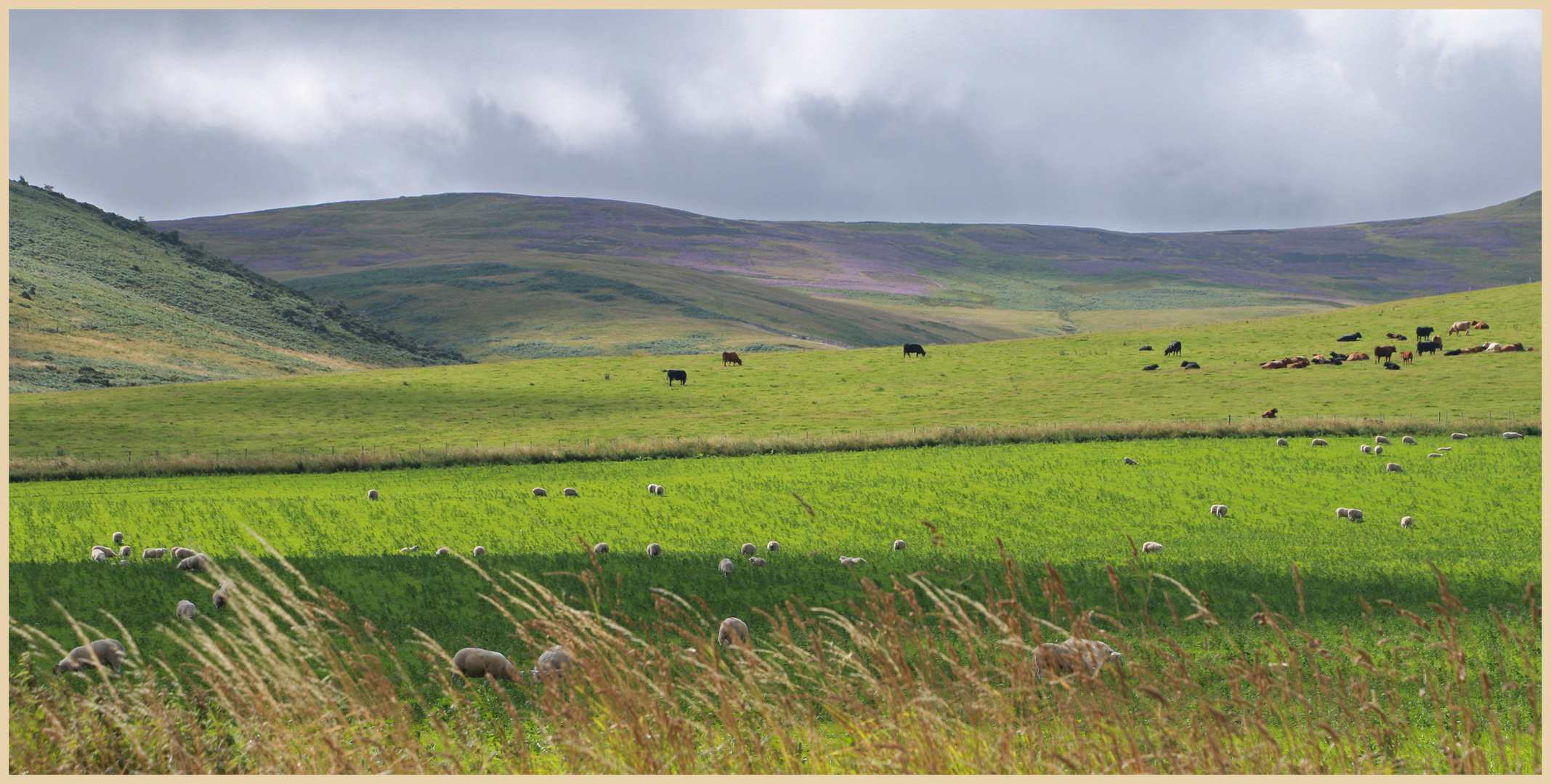 near kirknewton 3