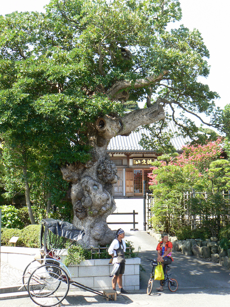 NEAR KYOTO, JAPAN