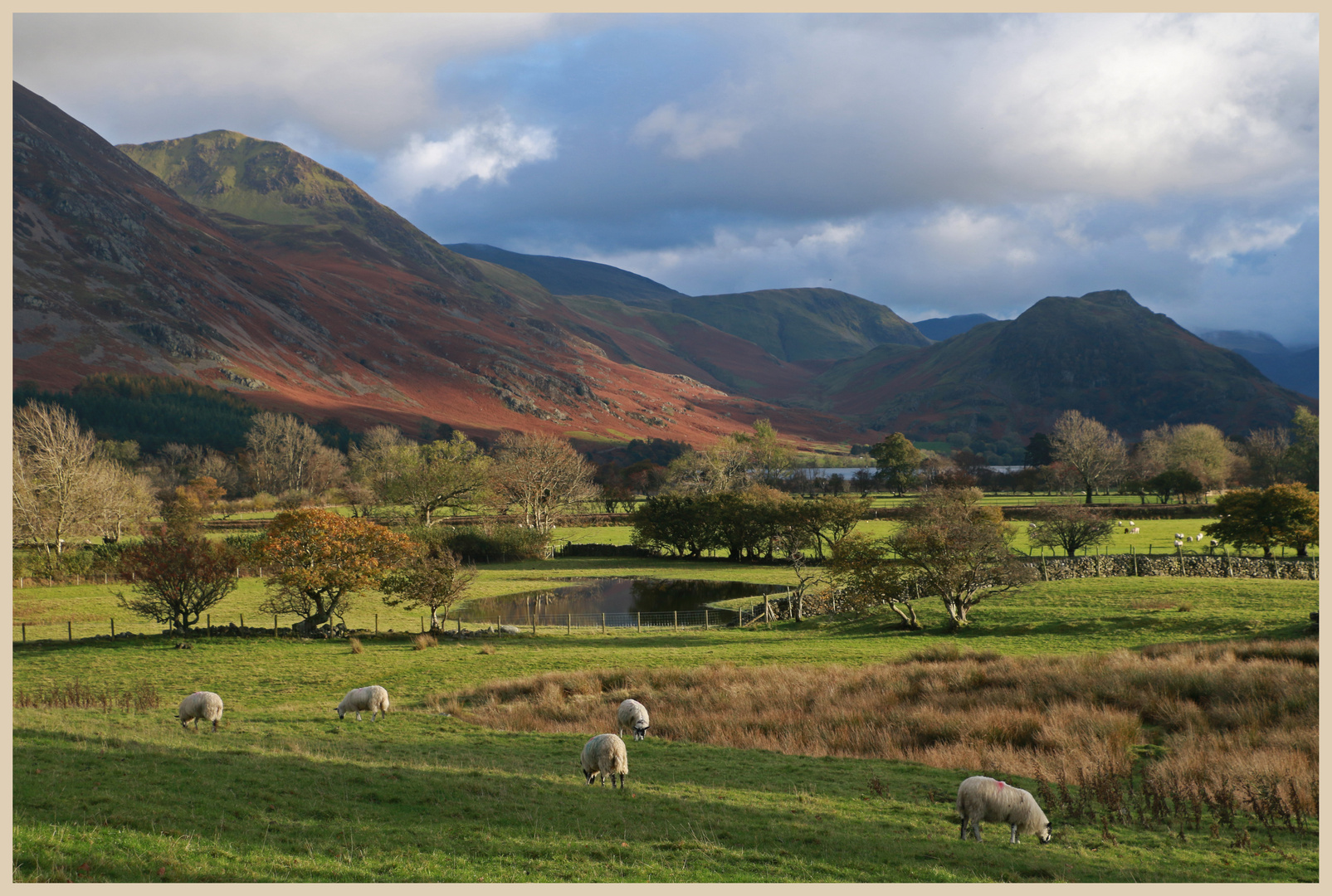 near loweswater 10