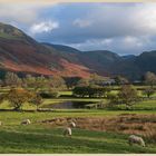 near loweswater 10