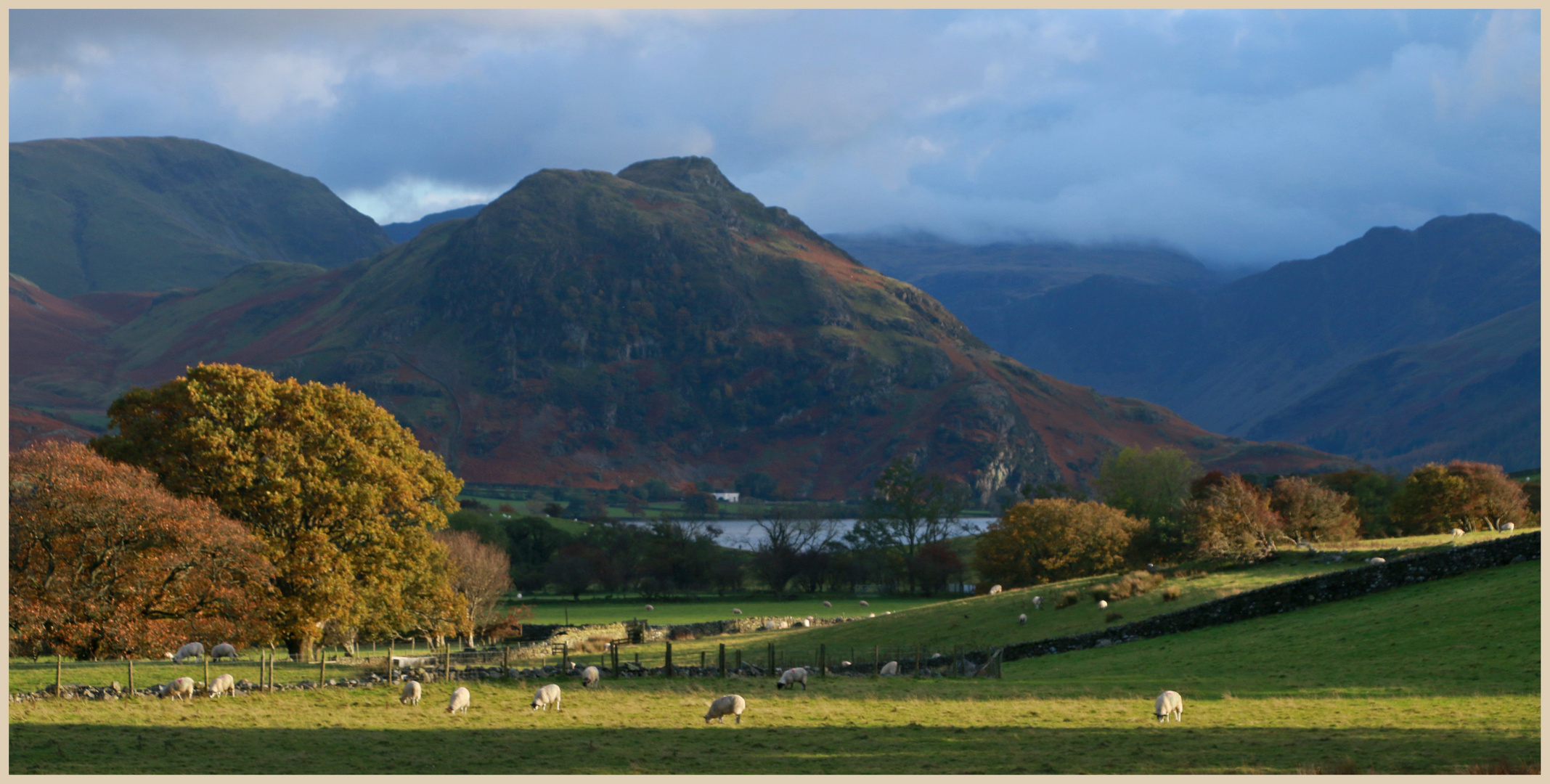 near loweswater 12