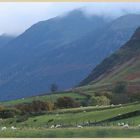 near loweswater 2