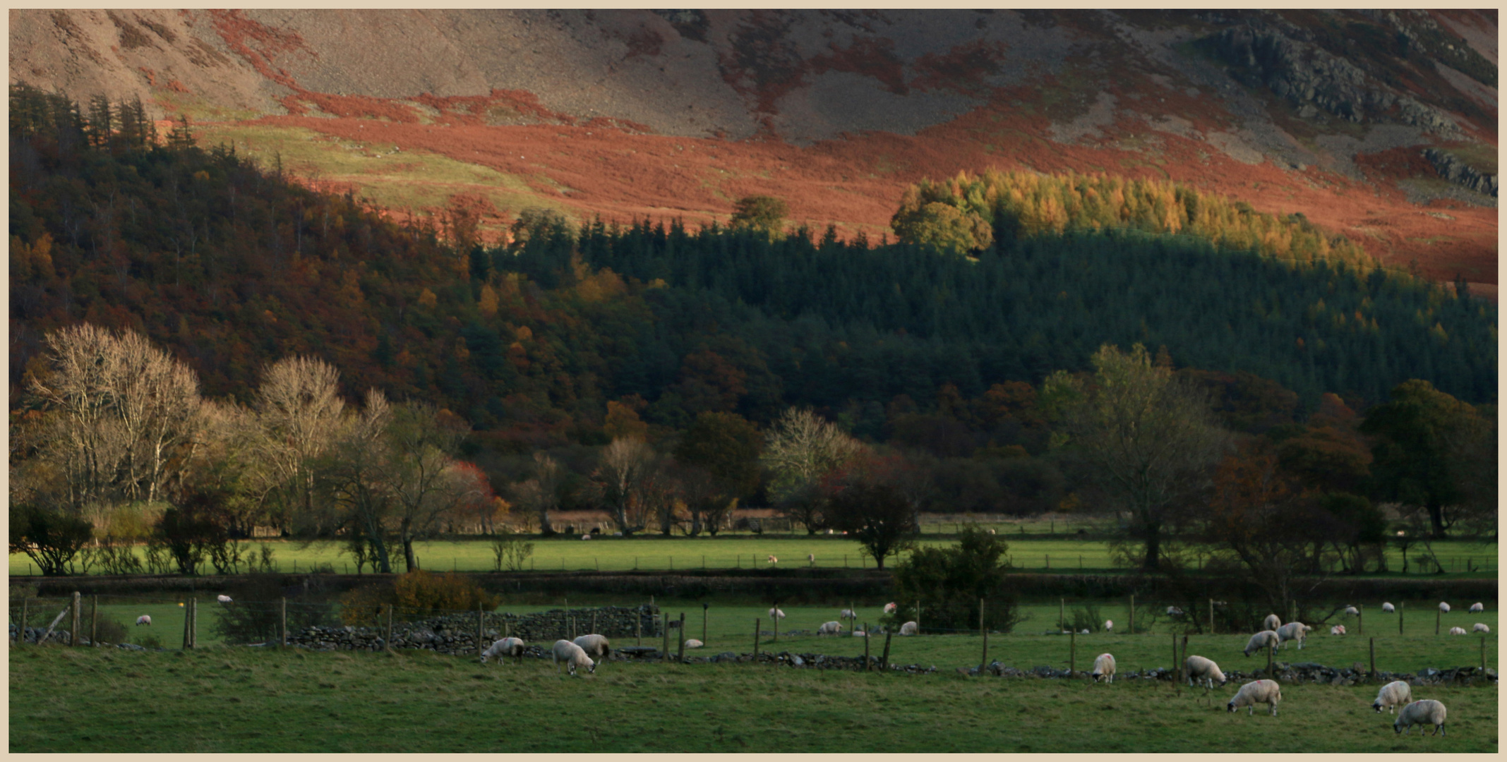 near loweswater 7