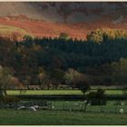 near loweswater 7