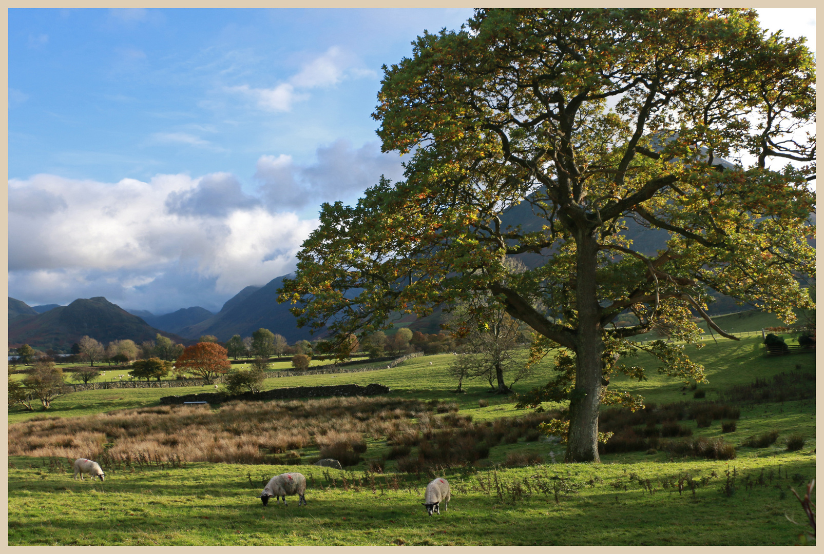 near loweswater 9