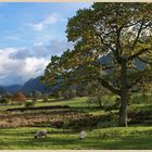 near loweswater 9