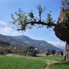 Near Manthali Nepal