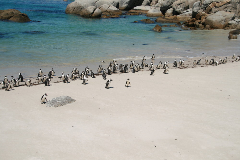 near Muizenberg