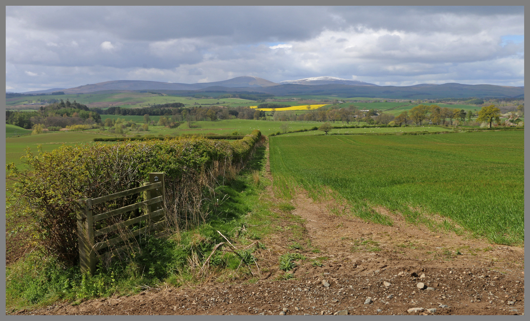 near old bewick Northumberland