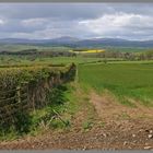 near old bewick Northumberland