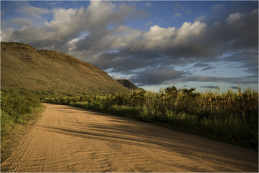 Near Polihale Beach, Kauai