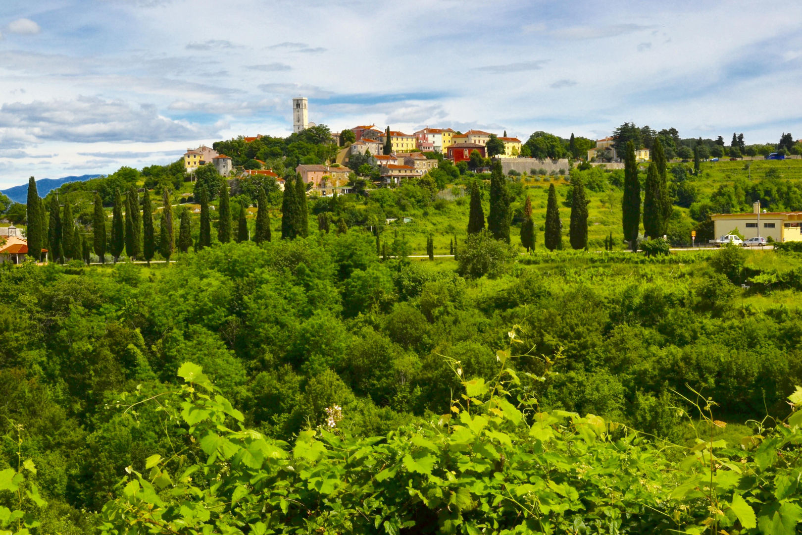 Near Pula, Istria Peninsula, Croatia.