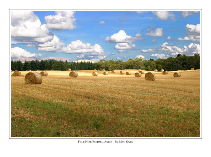 Near Red Hall, Angus, Scotland