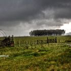 Near Rivera, Uruguay del Norte, close to the Brazilian border