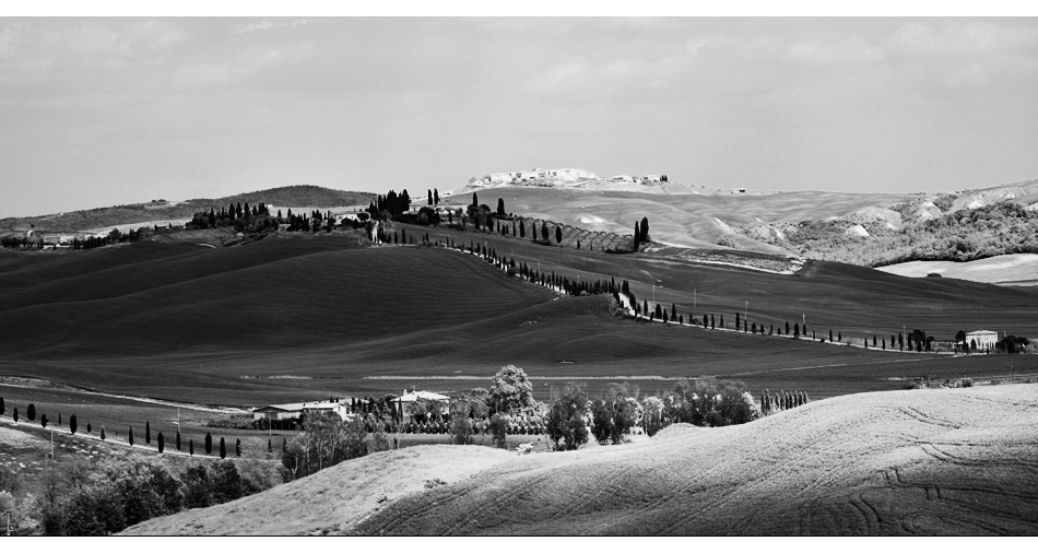 near Siena (II)