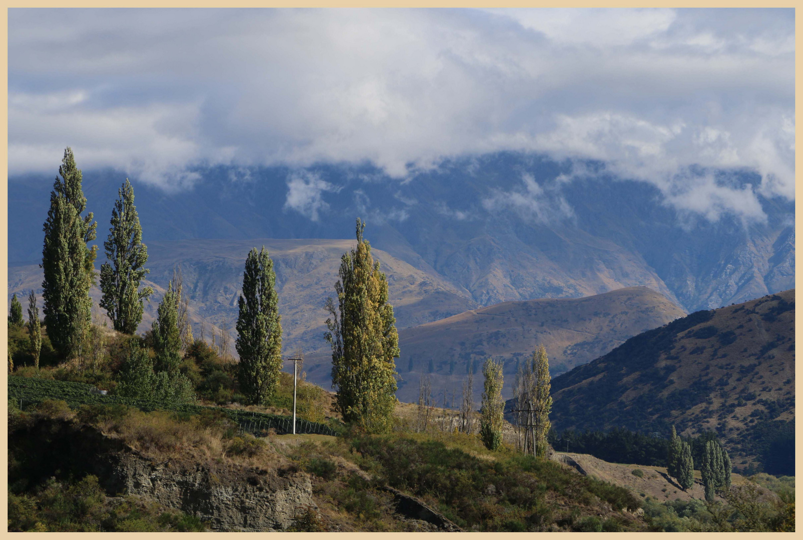 near the kawarau bridge 4