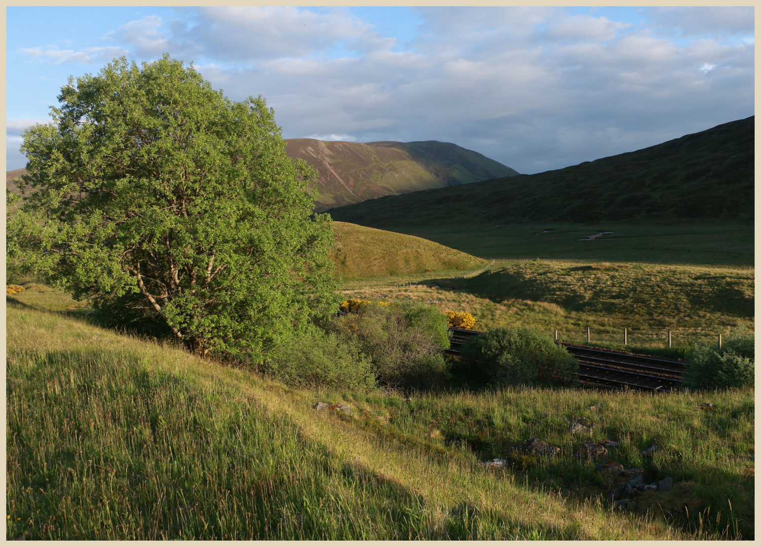 near the pass of drumochter 15