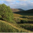 near the pass of drumochter 15