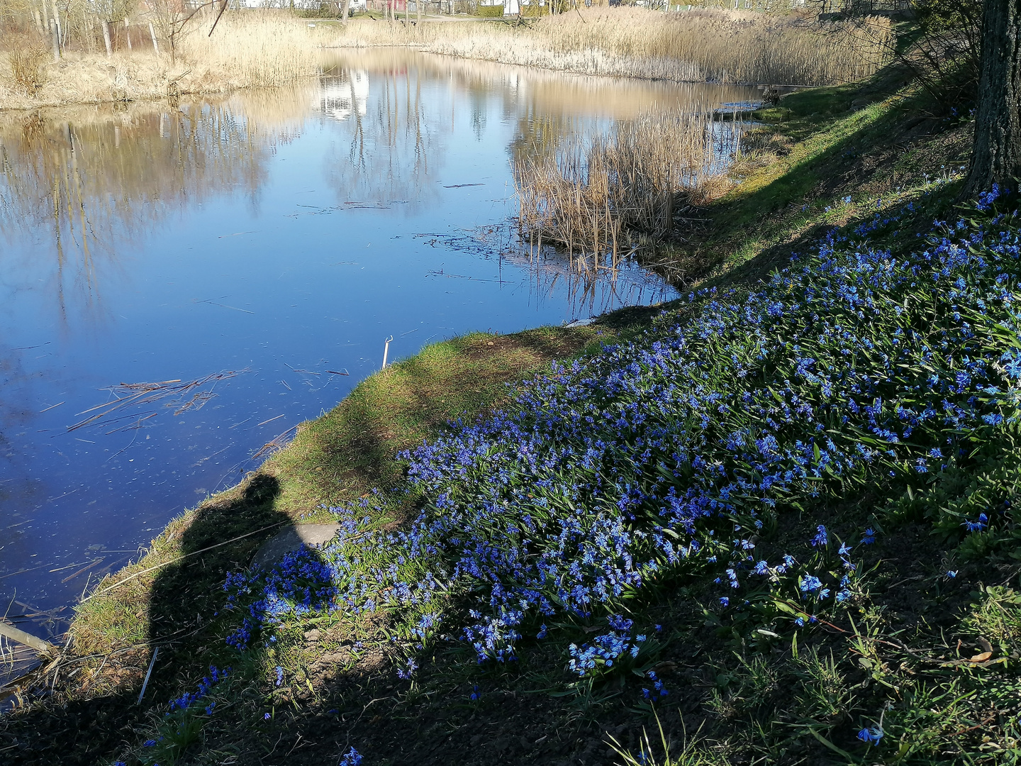 Near the river