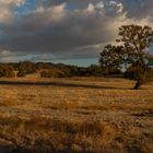 near the valley