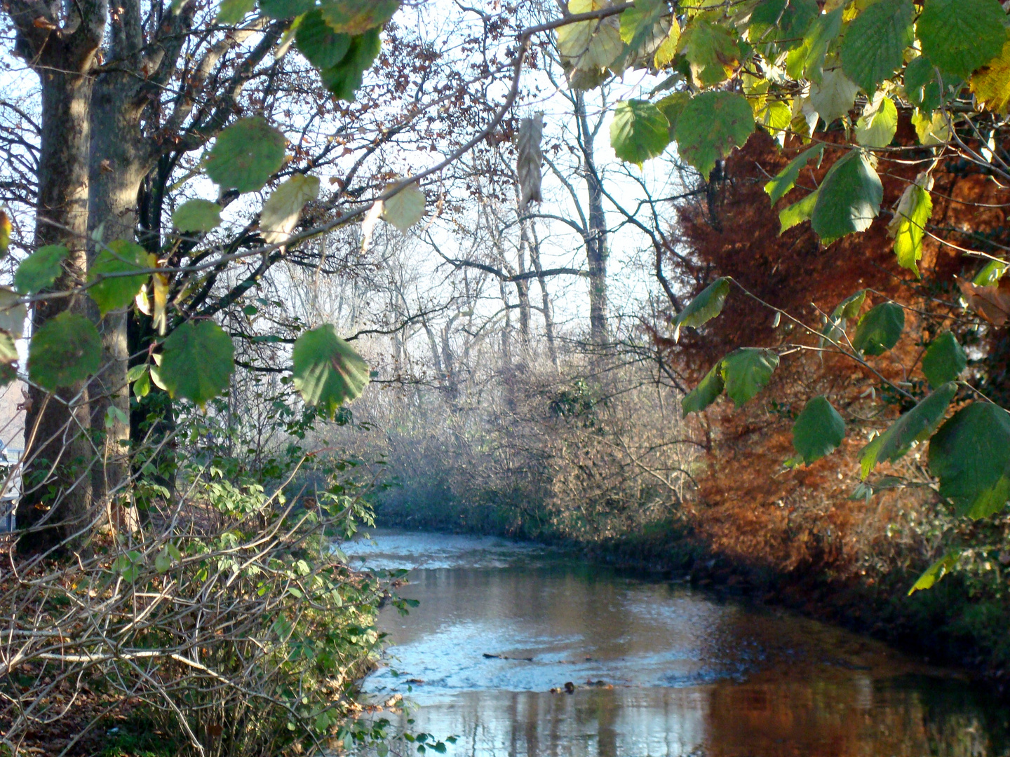 near the village