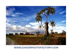 near Ubud