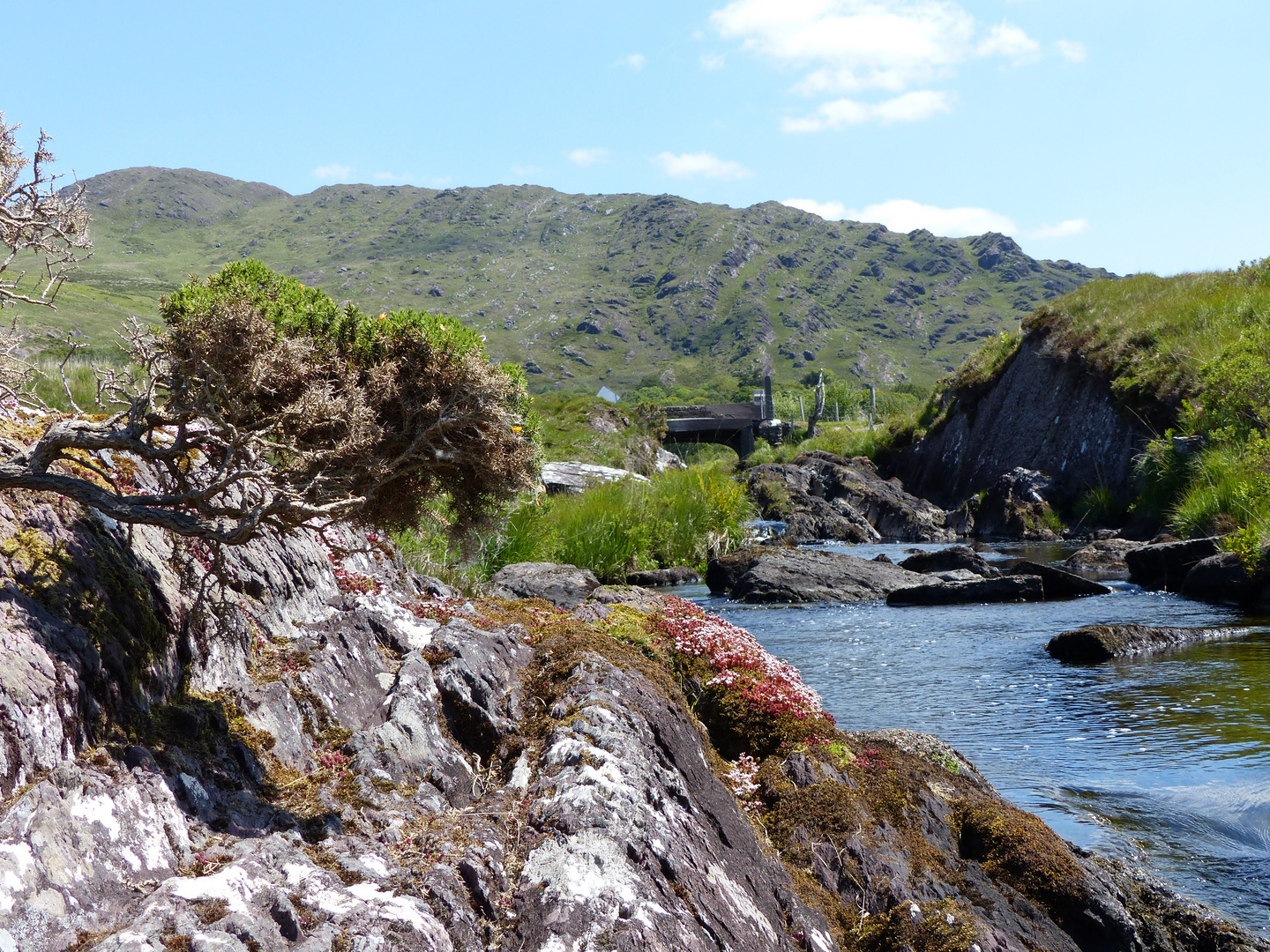 Near Uragh Stone Circle