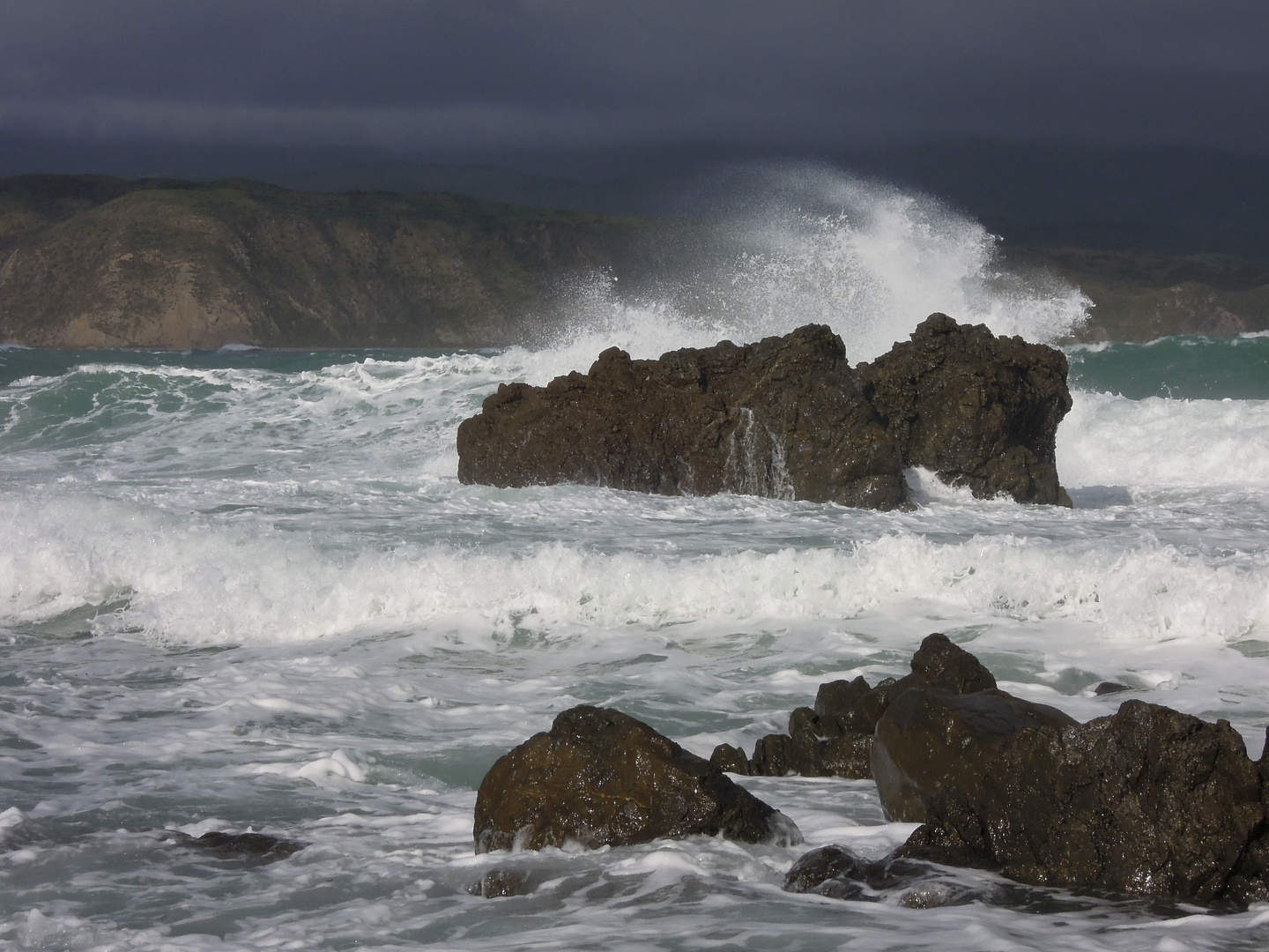 Near Wellington