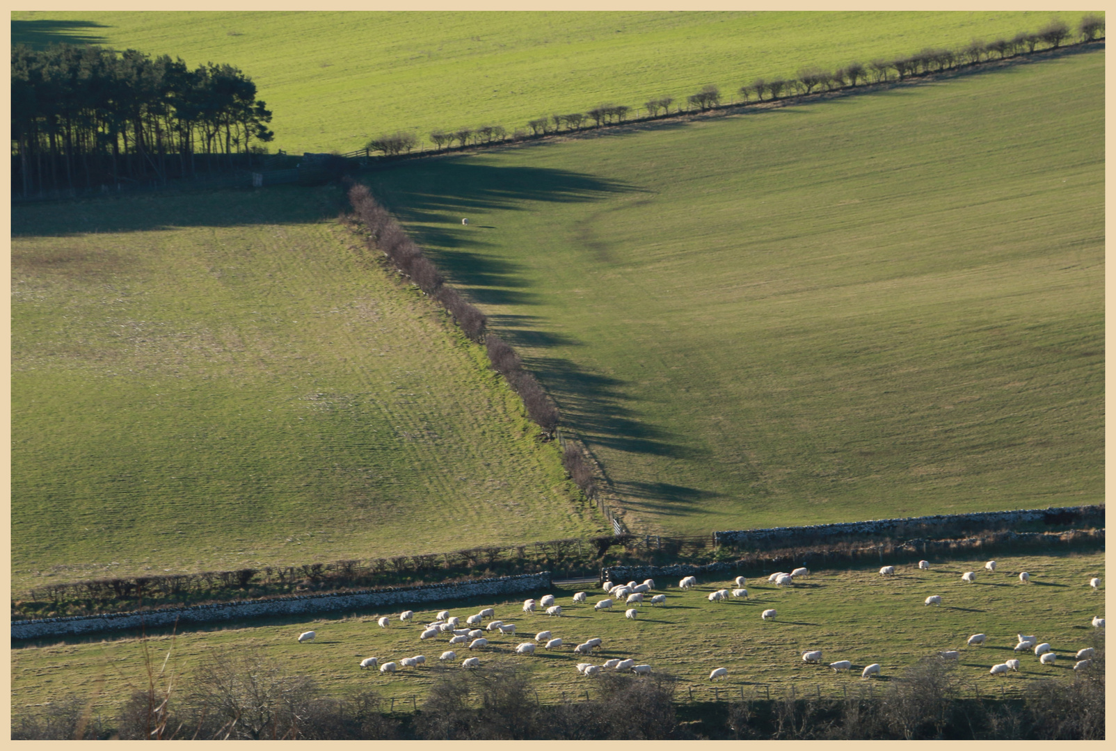 near westnewton 1