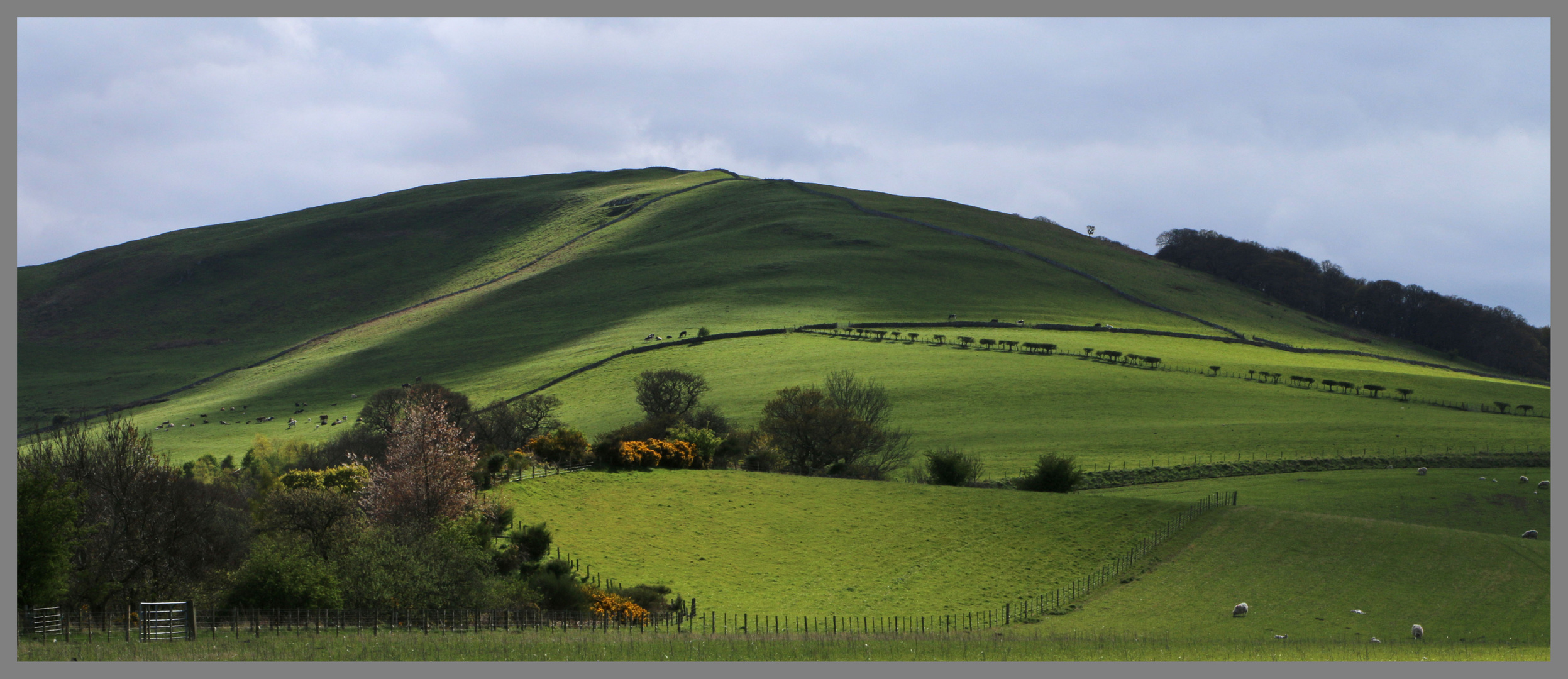 near westnewton Northumberland 12