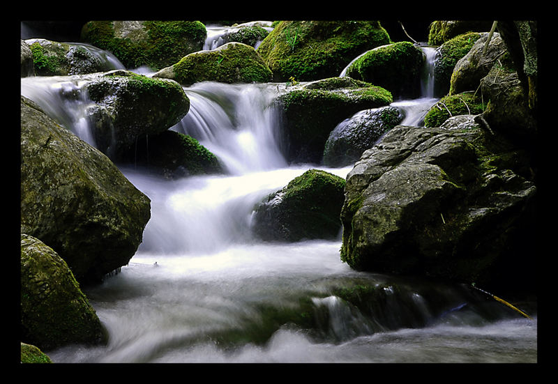 near zakopane