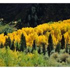 Nearby Maroon Bells