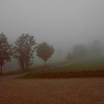 Nebbia