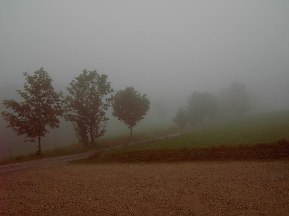 Nebbia