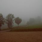 Nebbia