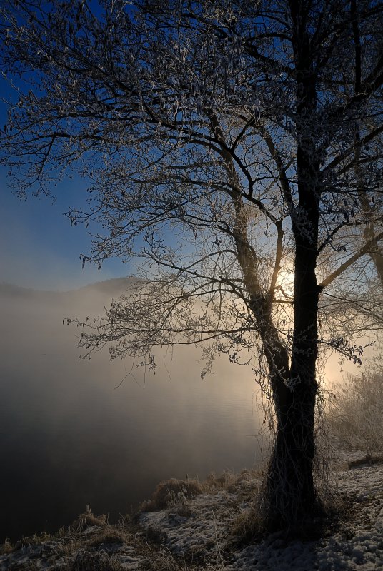 Nebbia