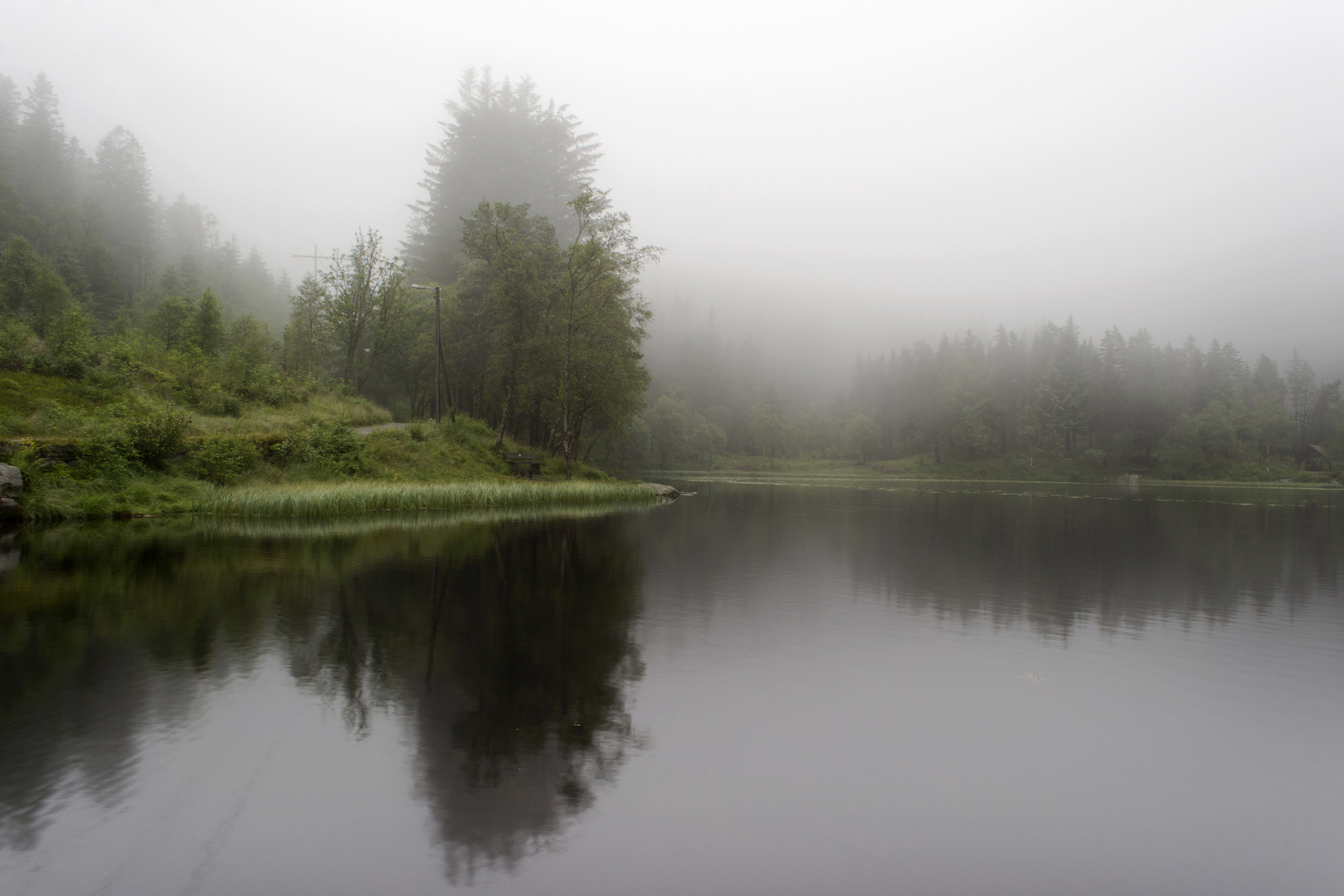 Nebbia