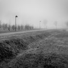 Nebbia