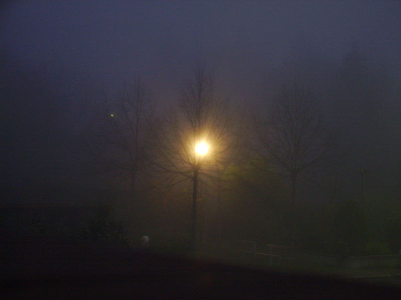 Nebbia