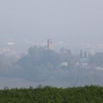 NEBBIA