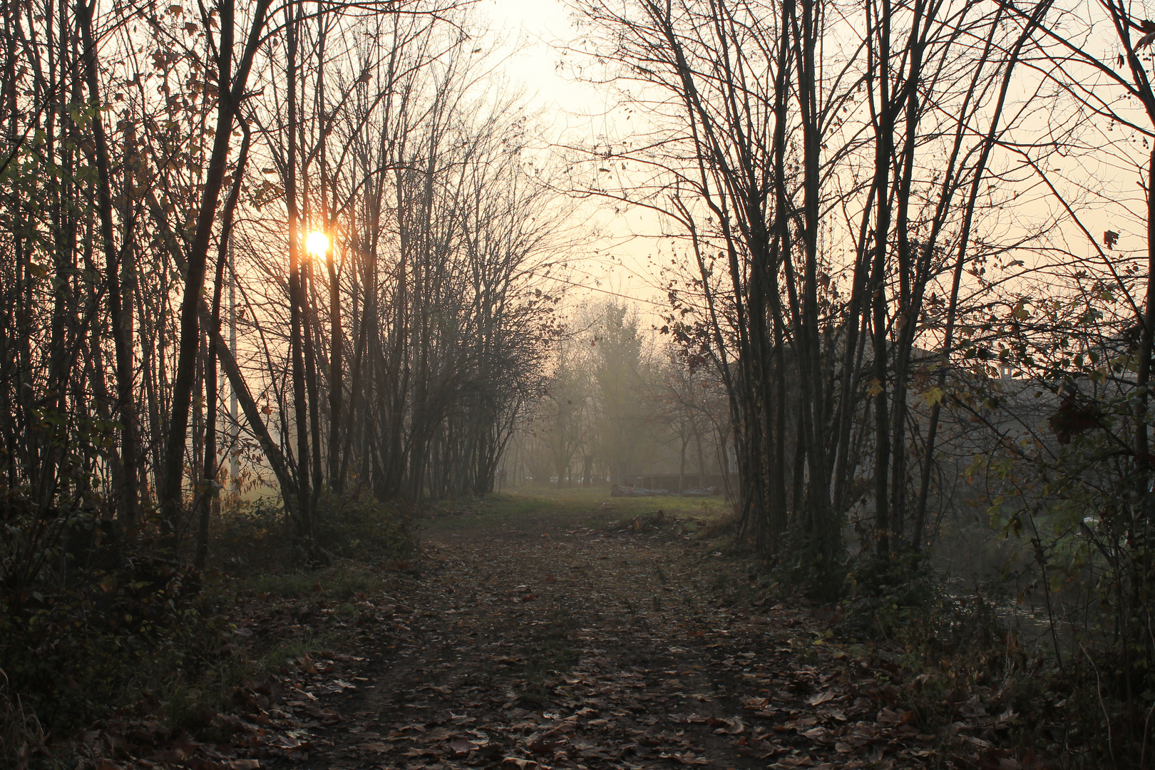 nebbia